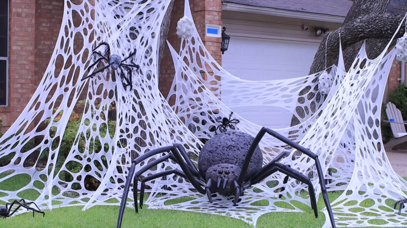 Giant Spider in Spiderweb