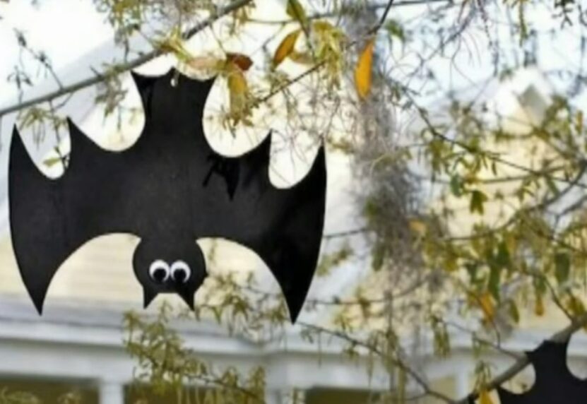 Bats hanging from a tree